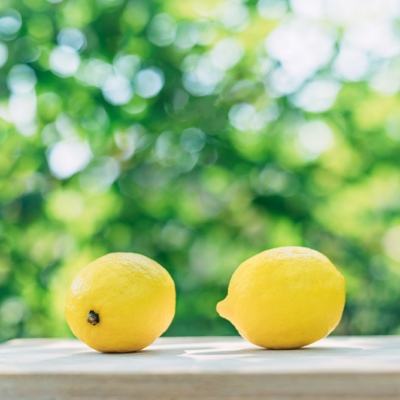 wf虚空境付费破解版下载