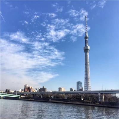 代号rg官方版